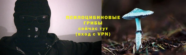 мяу мяу мука Абинск